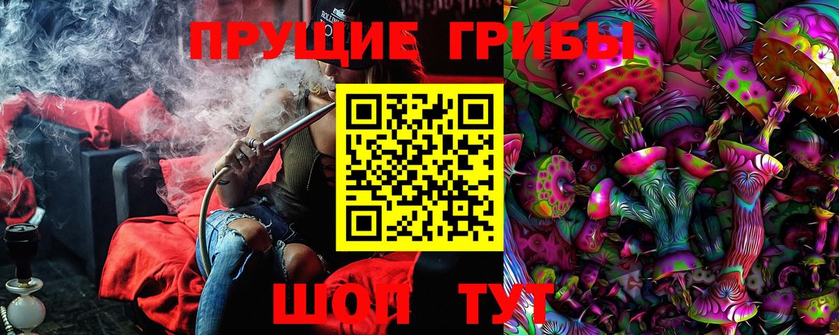 Псилоцибиновые грибы Psilocybe  Вход с VPN  Новоалександровск 